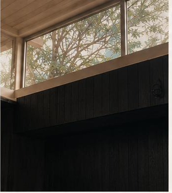 Charred cedar wall meeting a clerestory window with foliage visible beyond
